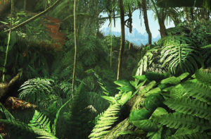 Law of the Jungle Marketing - image of a jungle to symbolise the jungle of marketing compliance